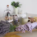 Apartman Zd
