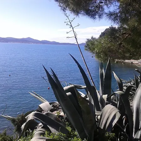 Zd * Zadar