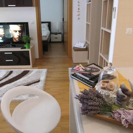 Apartment Zd