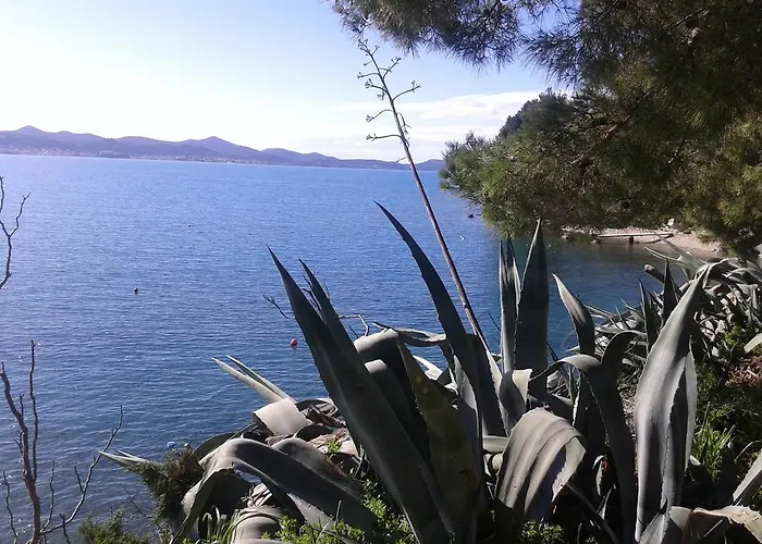 Zd * Zadar